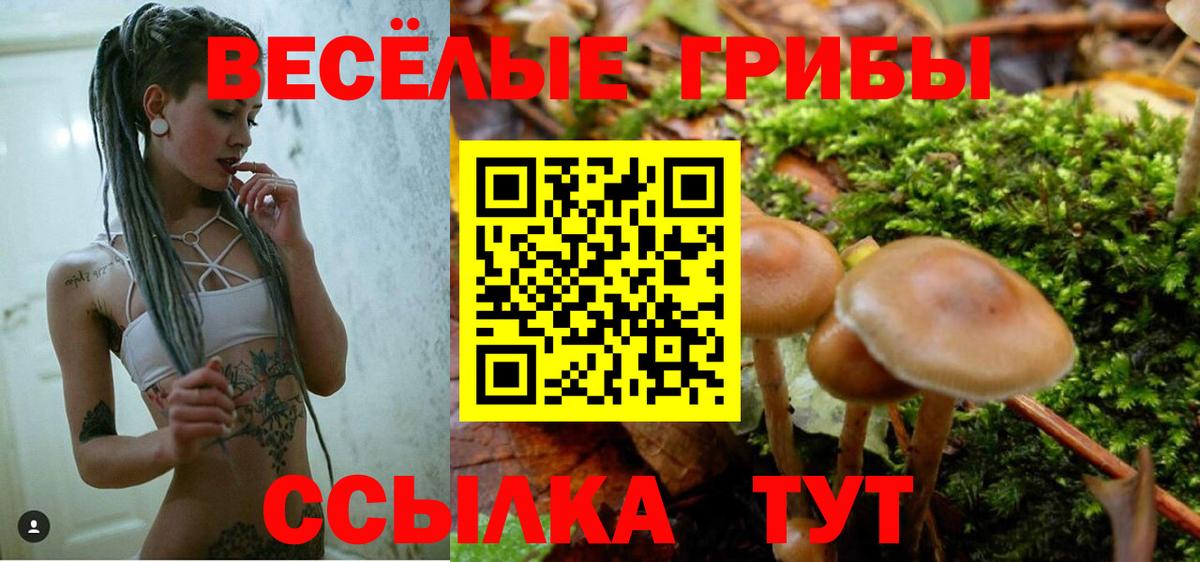 Галлюциногенные грибы прущие грибы  где продают наркотики  Азнакаево  Вход с VPN  Галлюциногенные грибы мухоморы 